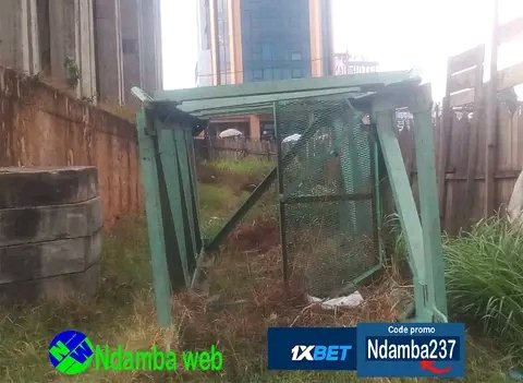 Siège de la fecafoot ce jour. 
Il est 17h au moment de la prise de ces images.
Rien de concret en terme  d'attaque des travaux.
Même les vigiles sont portés disparus. 
Aucun signe de vie. 
Le chantier attend toujours la descente des nouveaux membres du comité exécutif.