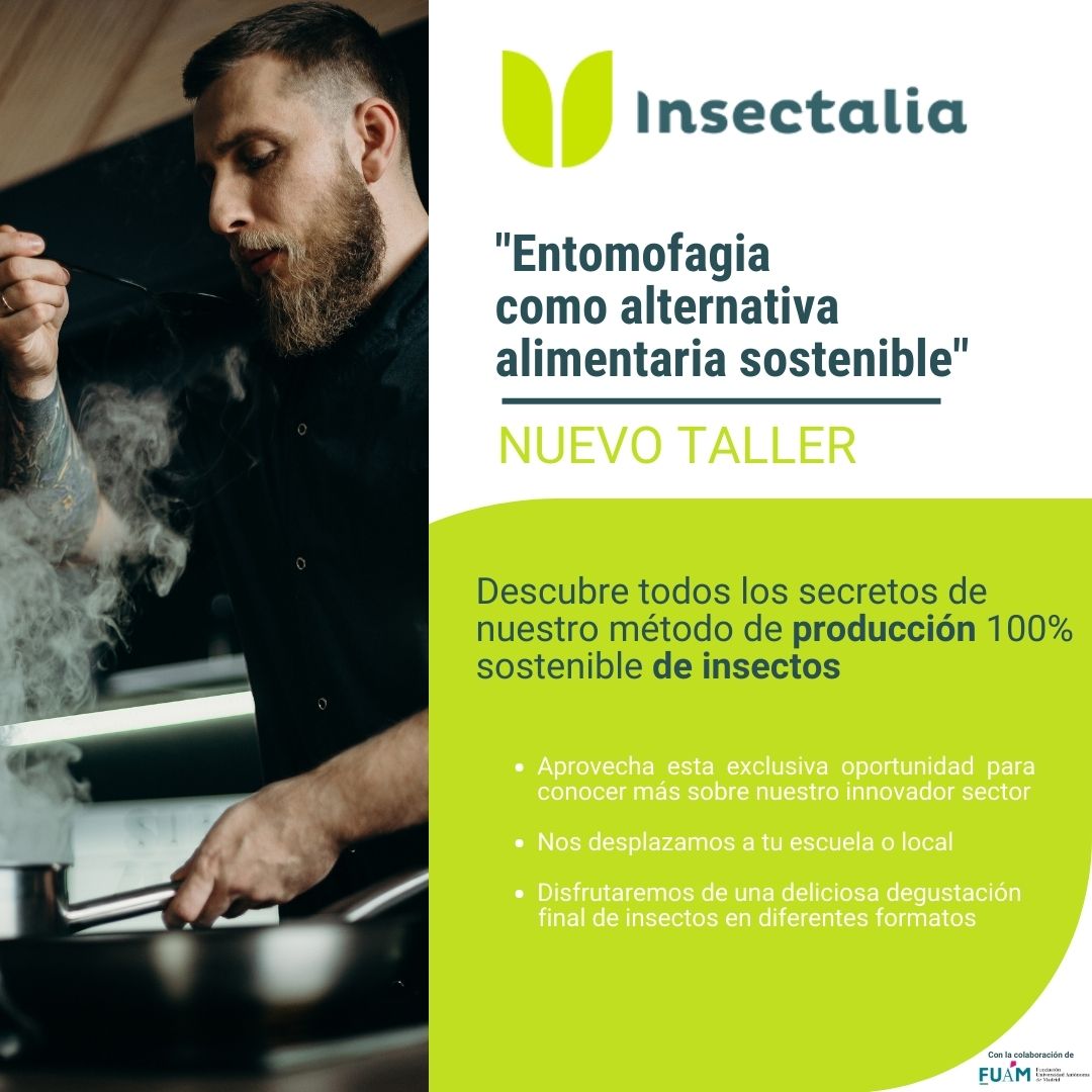 Insectalia tweet media