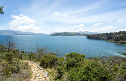 diegoriosb's tweet photo. 10 Lagos, Lagunas y Embalses, algunos de origen natural y otros artificiales

HILO 🧵

1⃣ Laguna de Tota: Ubicada en Boyacá, la más grande de Colombia con 55Km2 superficiales, su profundidad máxima es de 61 metros, es tan grande que tiene playa 😊 https://t.co/YddXhA2bEj