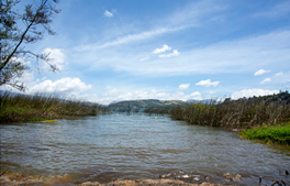 diegoriosb's tweet photo. 10 Lagos, Lagunas y Embalses, algunos de origen natural y otros artificiales

HILO 🧵

1⃣ Laguna de Tota: Ubicada en Boyacá, la más grande de Colombia con 55Km2 superficiales, su profundidad máxima es de 61 metros, es tan grande que tiene playa 😊 https://t.co/YddXhA2bEj