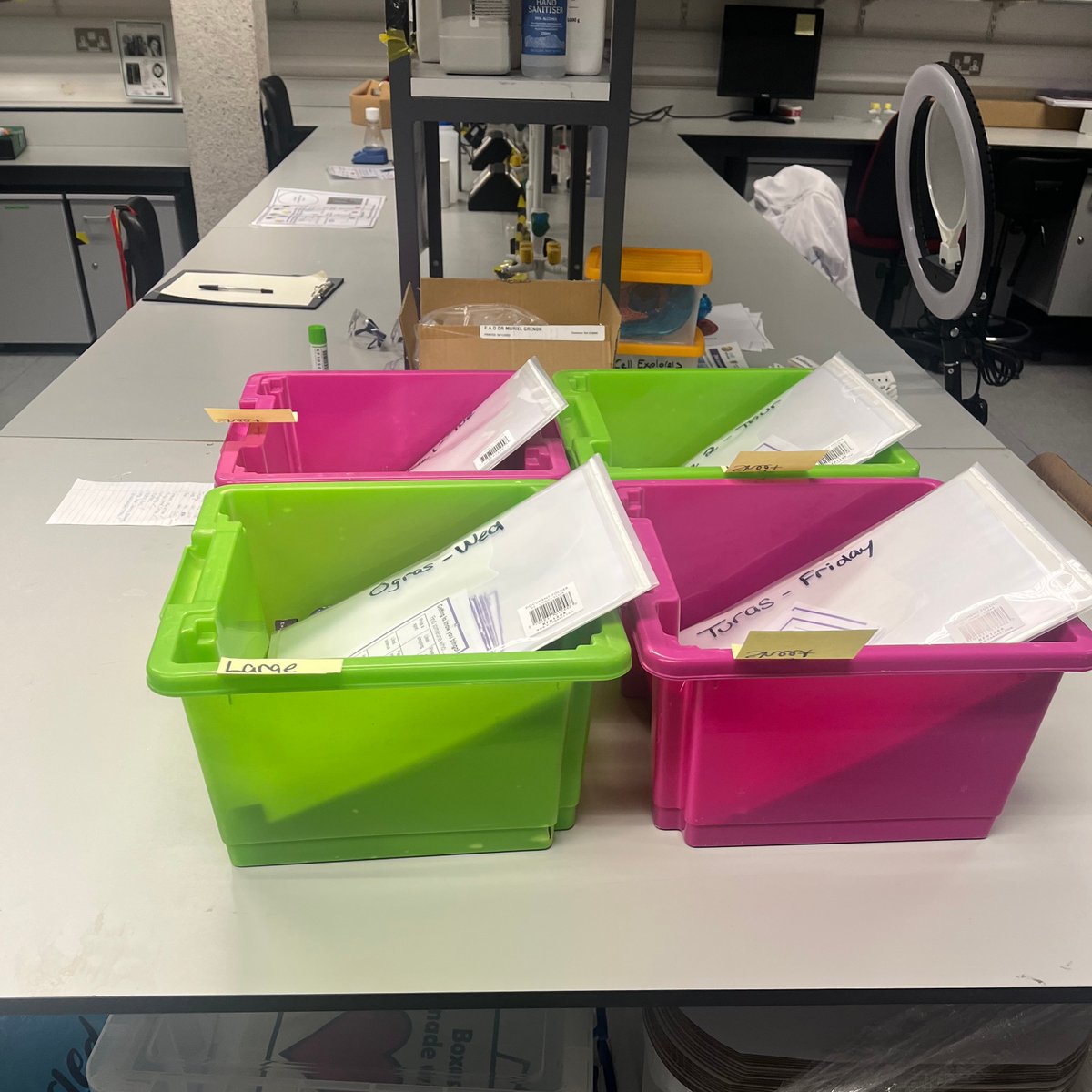 Cellexplorers's tweet image. Congratulations to the 16 amazing 2nd year Biomedical Sciences students who delivered the Cell Explorers Science Club to local youth groups as part of their @GalwayCKI module this semester. #Scienceisforeveryone #Sciencerolemodel