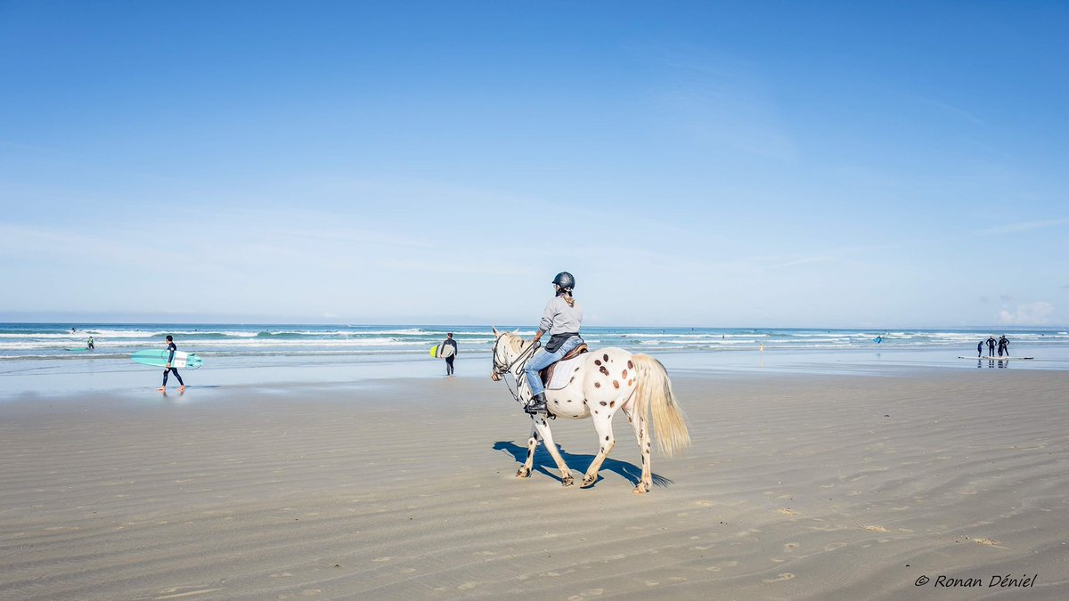 NatPennArBed's tweet image. Parce qu’en #paysbigouden, l’appel de la mer est entendu par les #surfeurs &amp;amp; aussi les #chevaux … 
+ personnellement, tenir le cap, aller droit devant, être en confiance et bien accompagnée. 
Loulou est une telle source de force💜💪🏻
Cliché Ronan Déniel, auteur photographe.