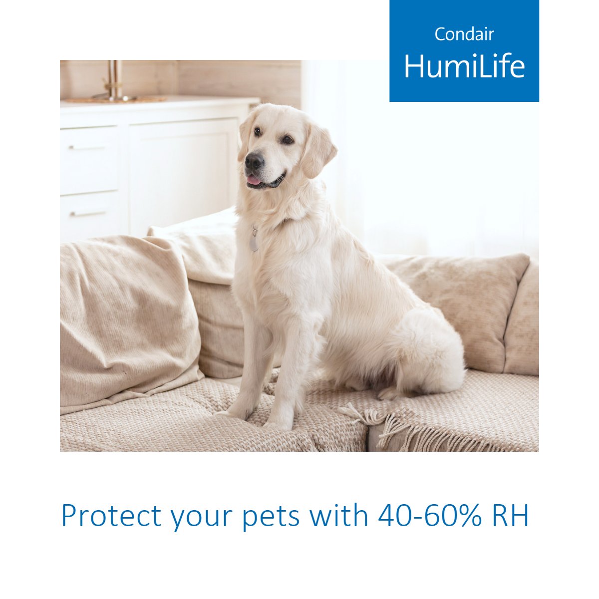 CondairHumiLife's tweet photo. HumiLife humidifiers maintain the perfect home humidity for not only your family's health but also your pets' health.

More on home humidification here: https://t.co/TOhwYIXUAs

#HumidityForABetterLife #HumiLife #40to60RH #Pets #PetHealth #Family #HealthyLiving #HealthyHomes https://t.co/I1Sz254lZ6