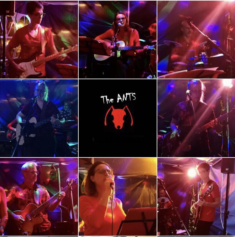 The ANTS tweet media