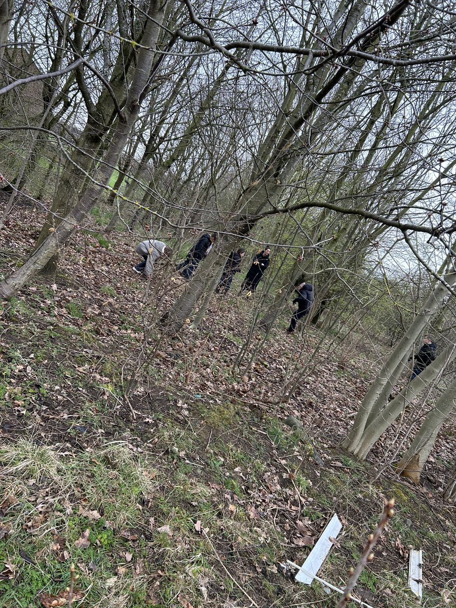 HGPAMrsW's tweet photo. Foraging in the woods like the people of Kenya did. We looked for berries and different types of wood for firewood. We thought about what Wangari would have said to the people who needed her help. @clpe1 #mamamiti #harrowgateacademy #harrowgateenglish https://t.co/Slu7CGVqce