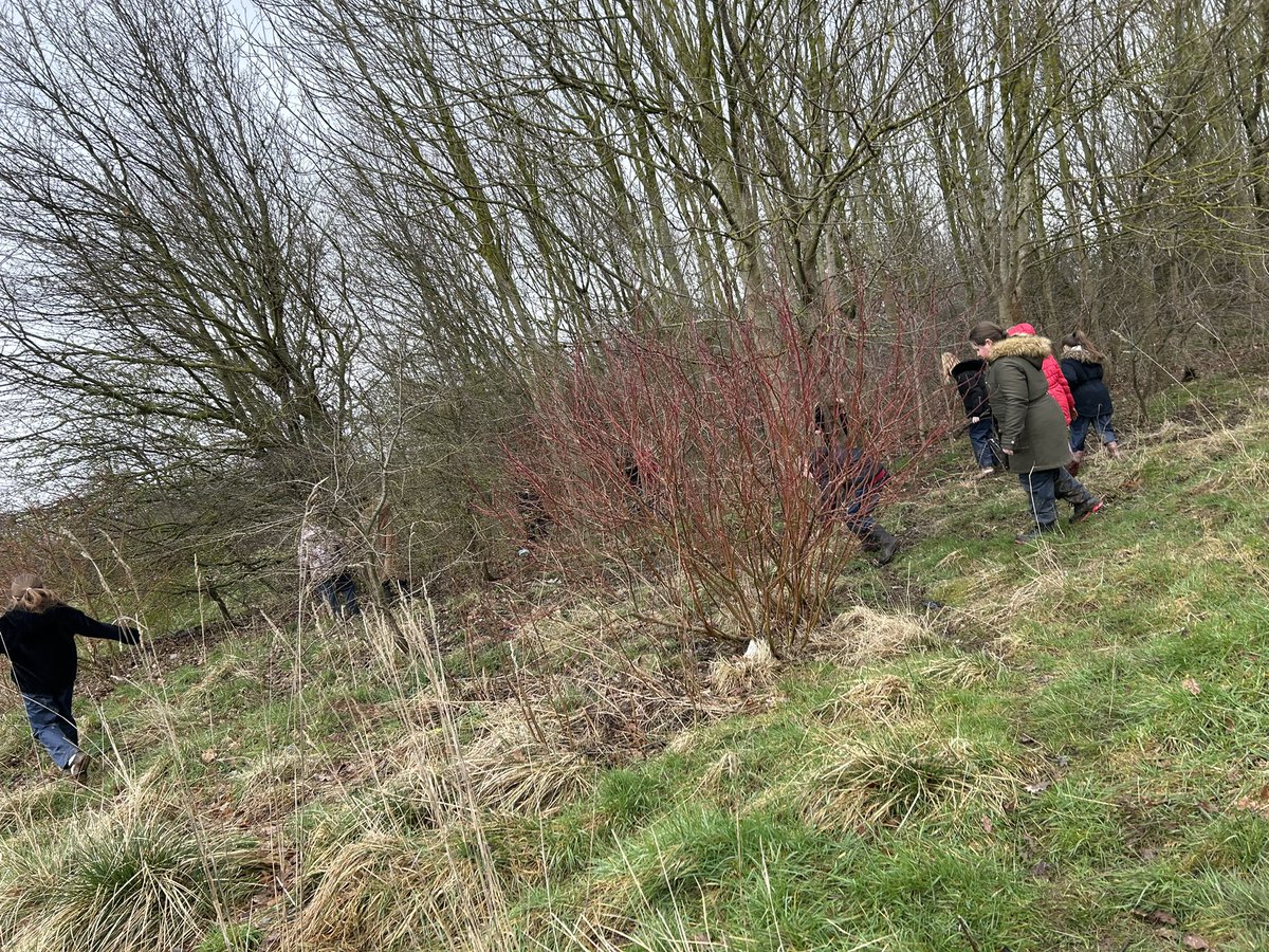 HGPAMrsW's tweet photo. Foraging in the woods like the people of Kenya did. We looked for berries and different types of wood for firewood. We thought about what Wangari would have said to the people who needed her help. @clpe1 #mamamiti #harrowgateacademy #harrowgateenglish https://t.co/Slu7CGVqce