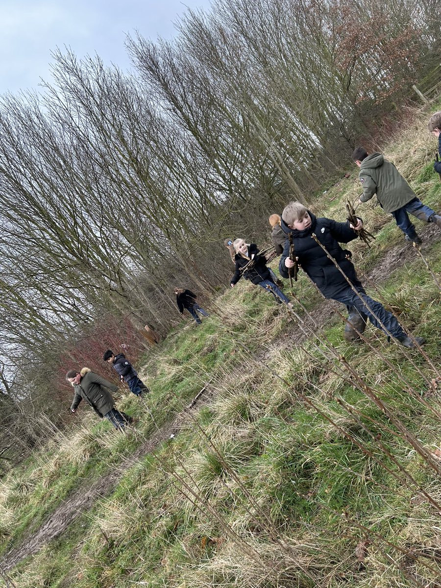 HGPAMrsW's tweet photo. Foraging in the woods like the people of Kenya did. We looked for berries and different types of wood for firewood. We thought about what Wangari would have said to the people who needed her help. @clpe1 #mamamiti #harrowgateacademy #harrowgateenglish https://t.co/Slu7CGVqce
