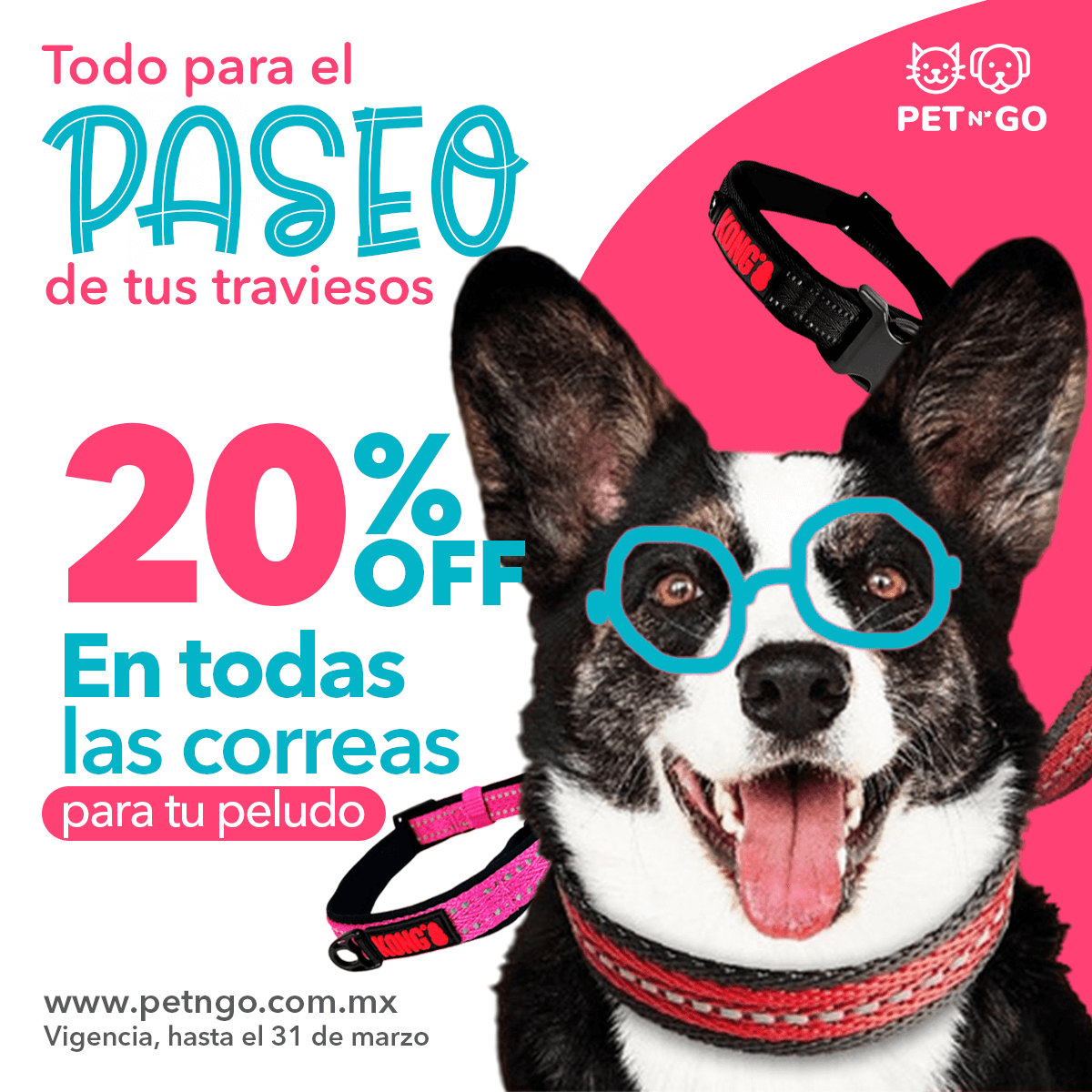 PetNGo's tweet photo. ¿Aburrido de las mismas correas aburridas de siempre? ¡Dale a tu peludo un toque de estilo con nuestras correas en promoción! ¡Tu peludín será la envidia del vecindario! 🐾🕶️🐱🐶 https://t.co/4YOwtewpFd https://t.co/vk72IE4Qf3