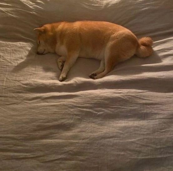 Husky2115's tweet photo. Guys, I came back after a long time, I'm sorry for my absence, it's very sad for me, but now I'm trying to get back into the ranks.❤️ https://t.co/3oGT5OIXoz