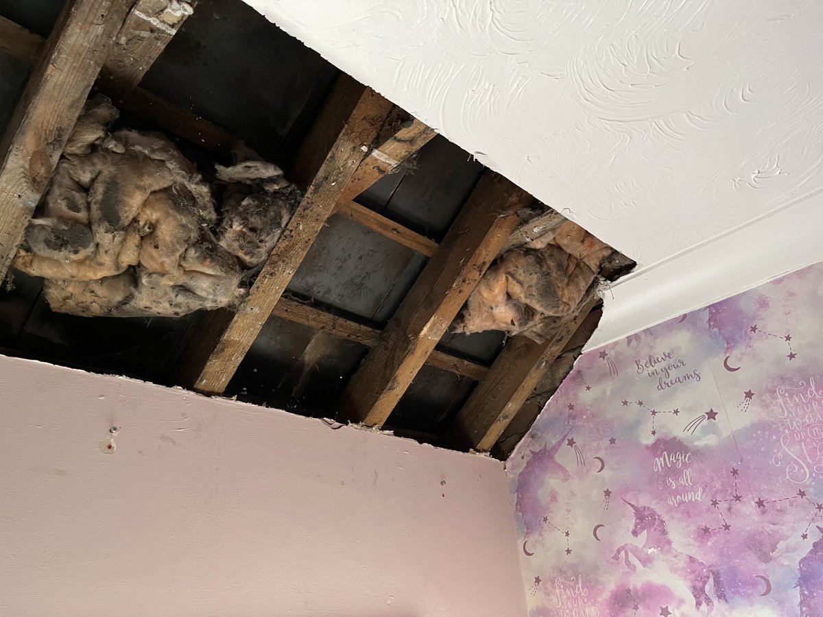 Chris Parsons tweet media