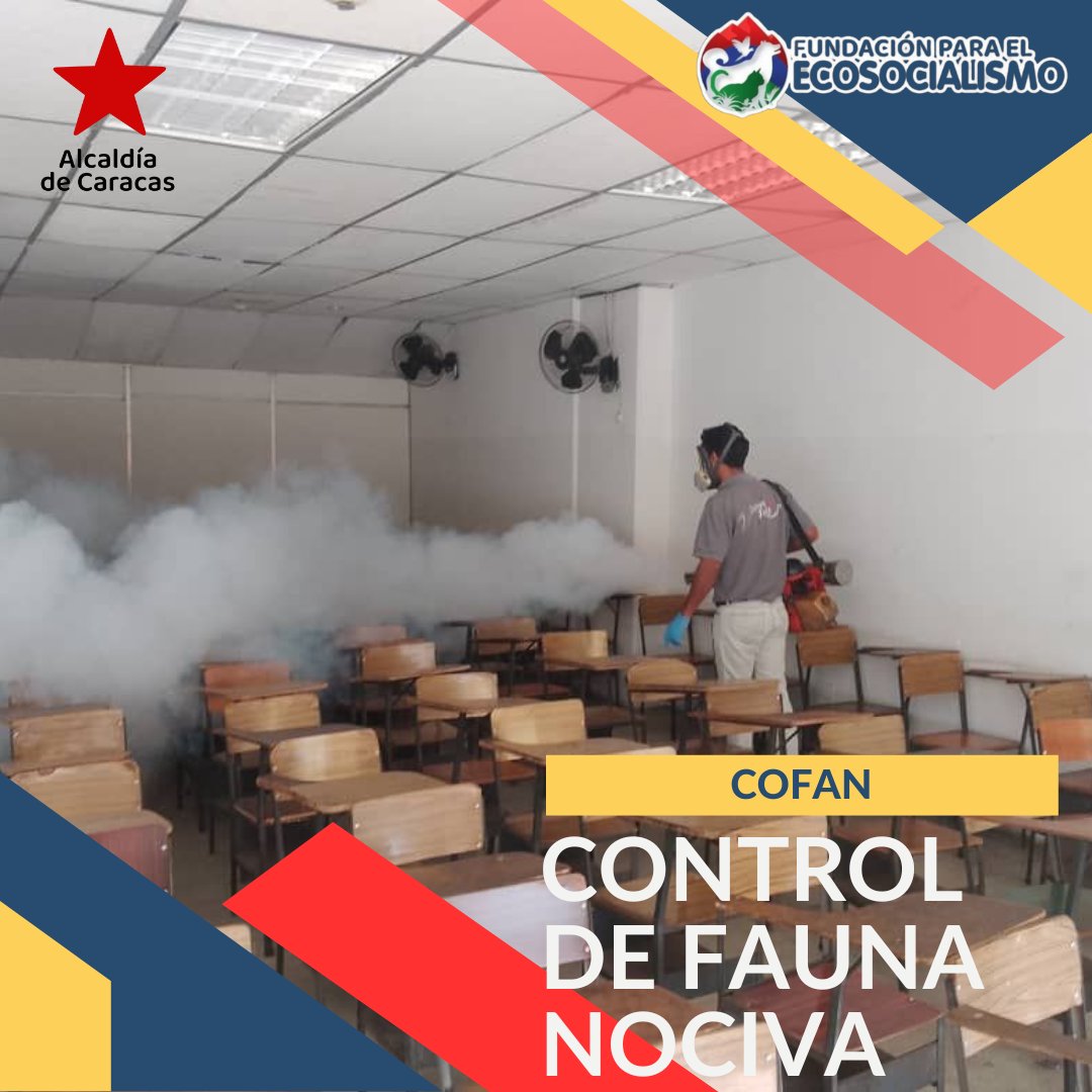 FdEcosocialismo's tweet photo. Trabajo de fumigación y desratización U.E.P. Maracaibo, parroquia San Juan.
💨🚫
!Seguimos comprometidos con nuestro trabajo y contigo!
#alcaldiadecaracas #funda_ecosocialismoccs #cofan #controldefaunanociva #cuidemoslafauna #bienestaranimal #3R #paz #vida #luz #amor #solidaridad https://t.co/IaxqIVjDsM