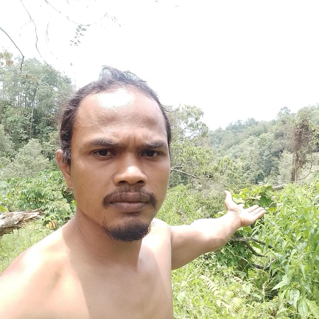 abdul Muluk tweet media