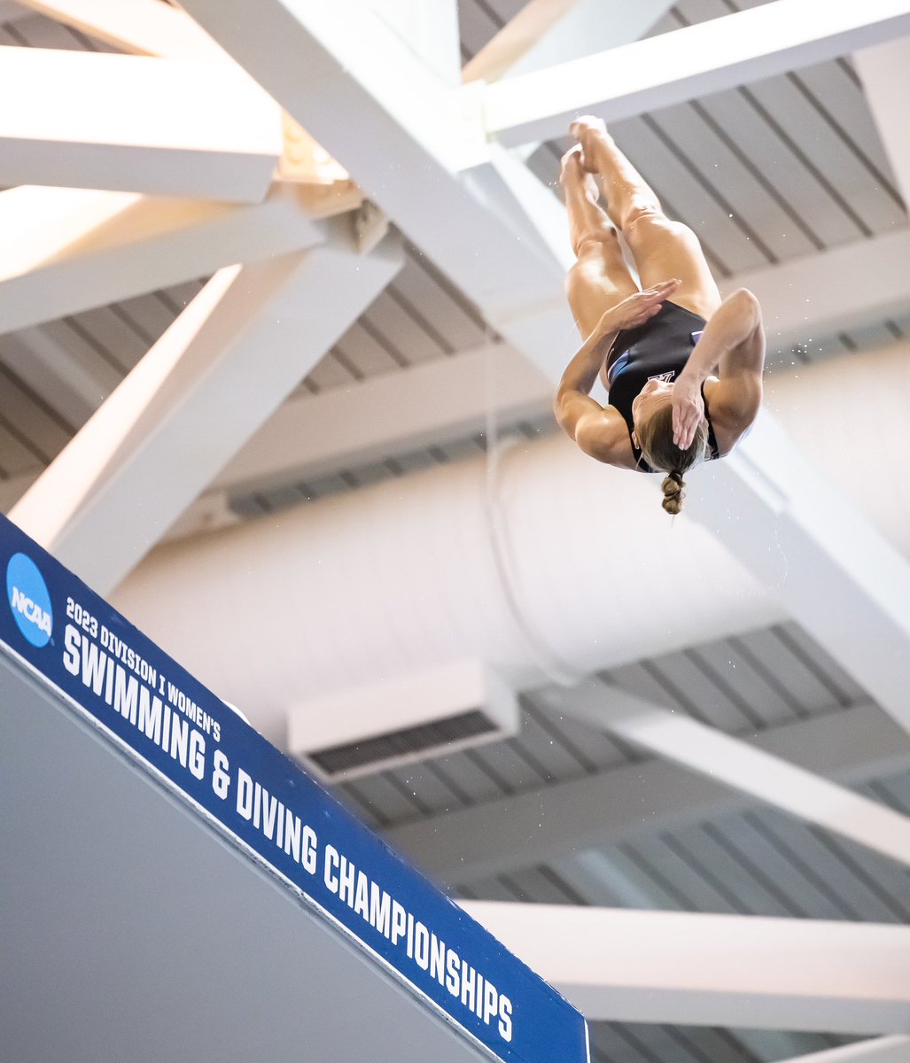 Arizona Swim Dive On Twitter Delaney Is Headed To Tonight s 1 Meter arizona-swim-dive-on-twitter-delaney-is-headed-to-tonight-s-1-meter