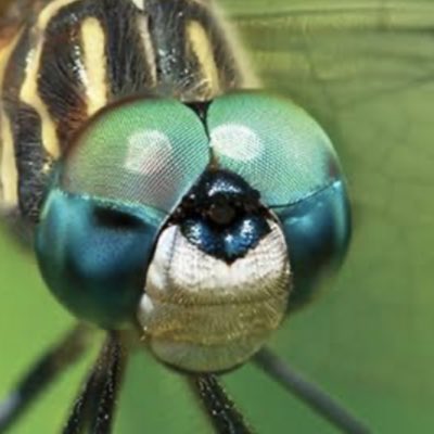 The Nobel Conference tweet media