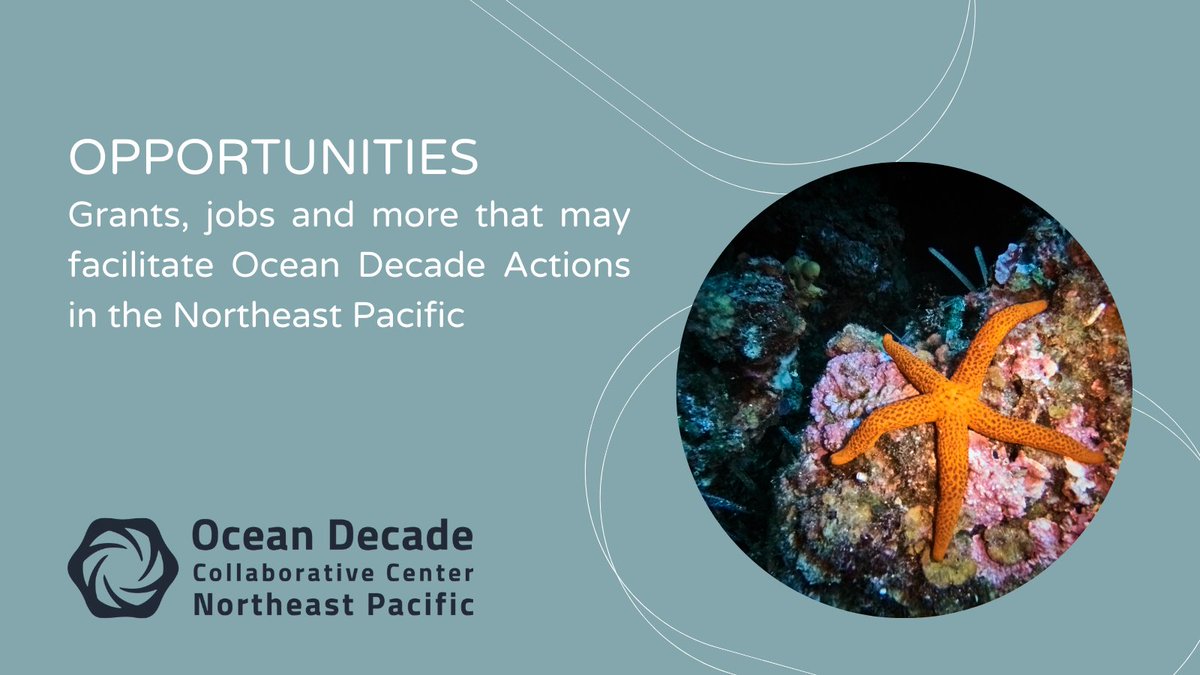 Recently added #NorthEastPacific #oceanopportunities:
-ship-based, 6-10 day experiences for undergrads on @NSF vessel
- #LatinosMarinos Rising Leaders Initiative @AzulDotOrg
-Pacific Rim Ocean Data Mobilization & Technology (PRODIGY) @UBC 2yr post-doc

oceandecadenortheastpacific.org/opportunities