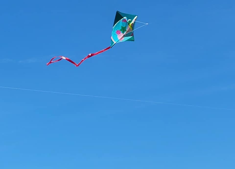 Longview PIP tweet media