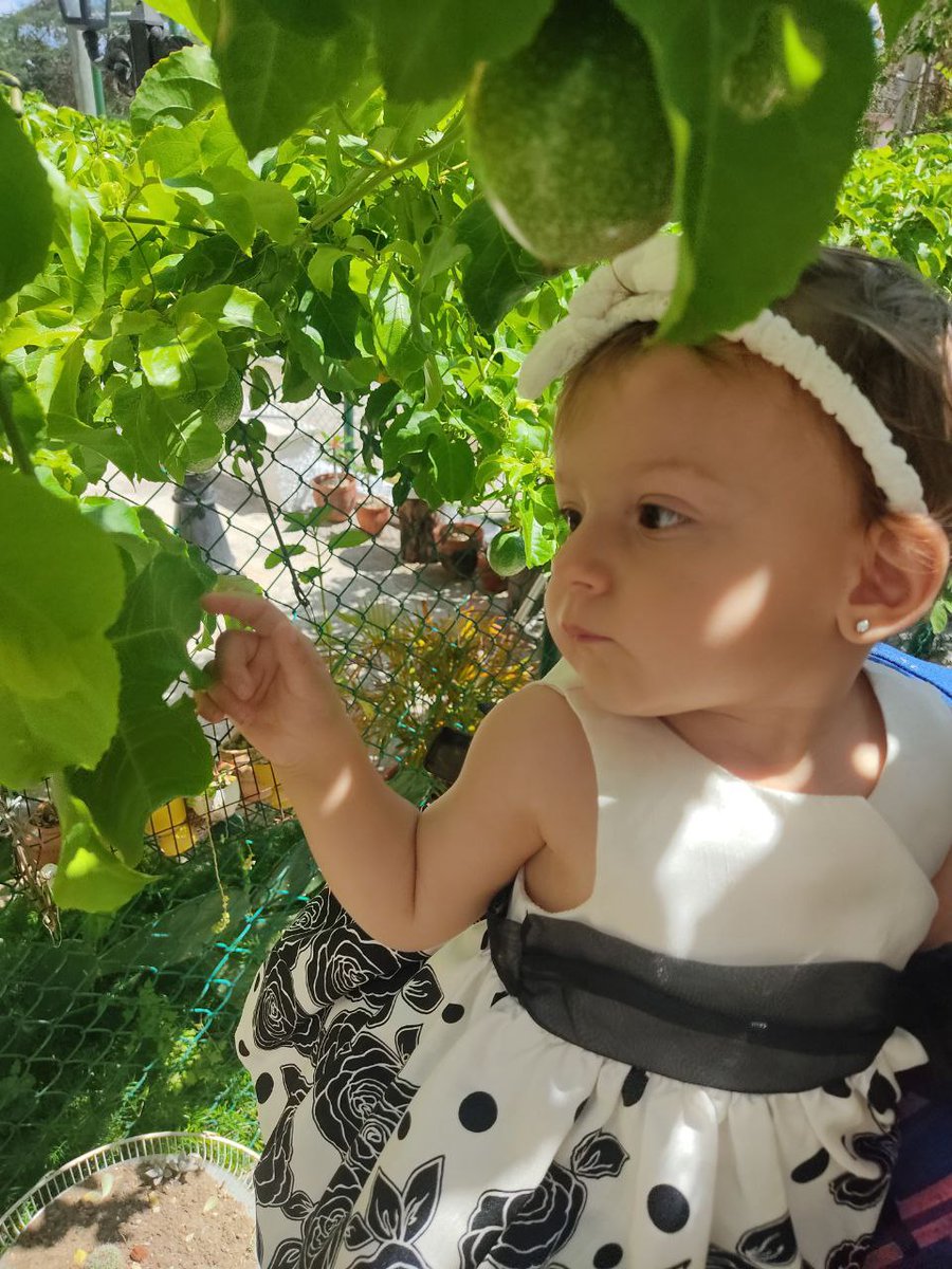 Alejandro Piad Morffis tweet media