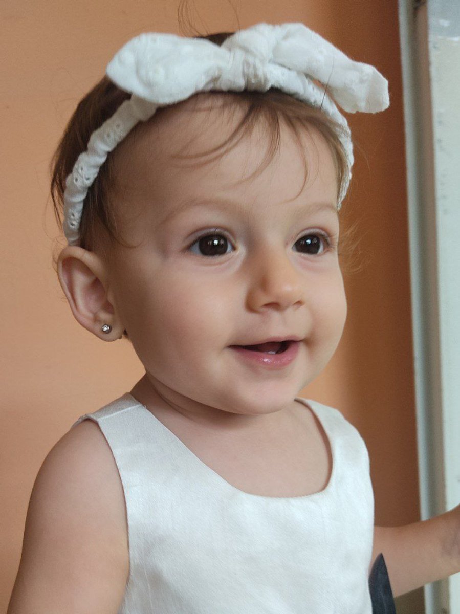 Alejandro Piad Morffis tweet media