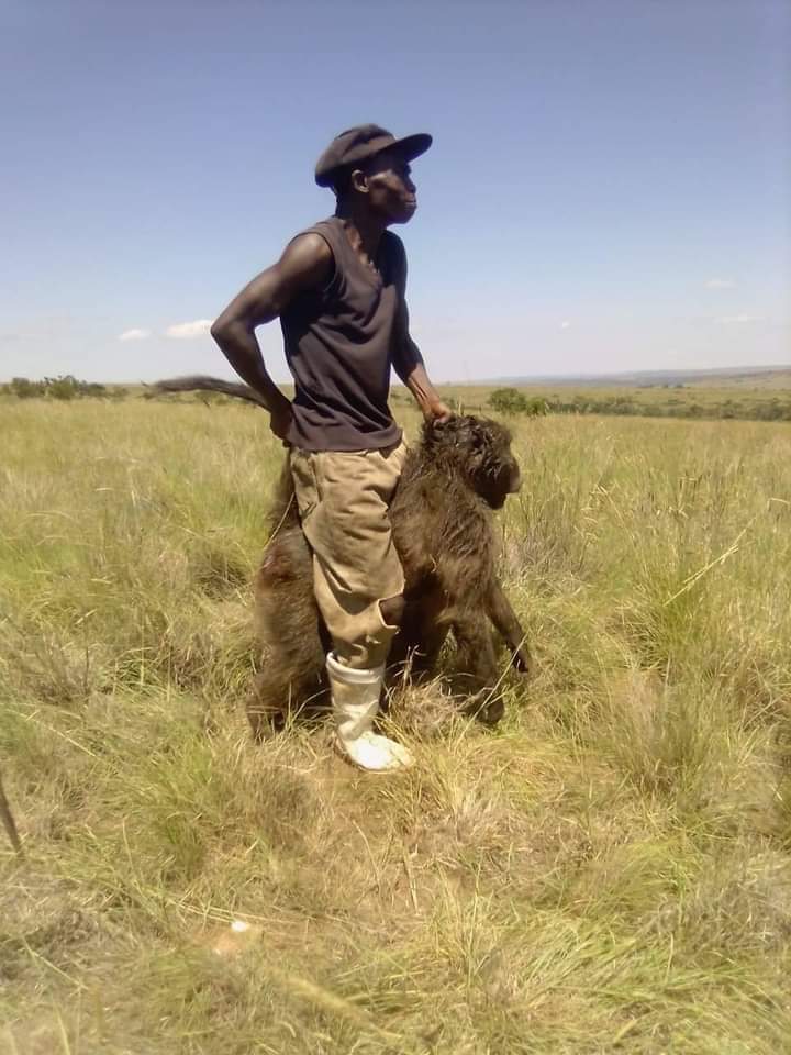 NsikaButhelezi's tweet photo. @ChrisExcel102 Yo laba 🤞🤞 https://t.co/PjjUvr2MMQ