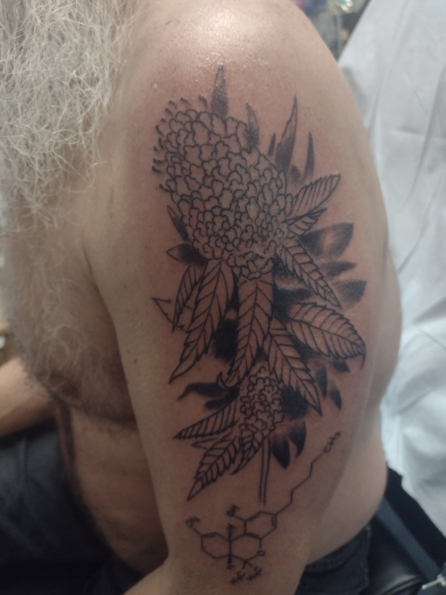 ClarkeBitter's tweet photo. First session is done! Just lines and shading today. Colour will be added in May to the bud! Really Happy with it!  Also got my little #Hashishin symbol #Mmemberville #CannabisCommunity #tattoos #cannabisculture https://t.co/Uv0z7UuGZe