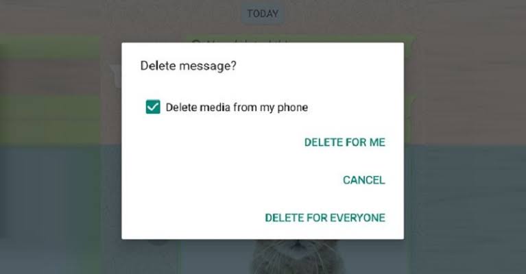 Mayaskrishnan's tweet photo. I m confused!!!!Why we need 'DELETE FOR ME" button in whatsap?? Can u pls explain @MZukenberg @WhatsApp https://t.co/NXNcHgZQ9y