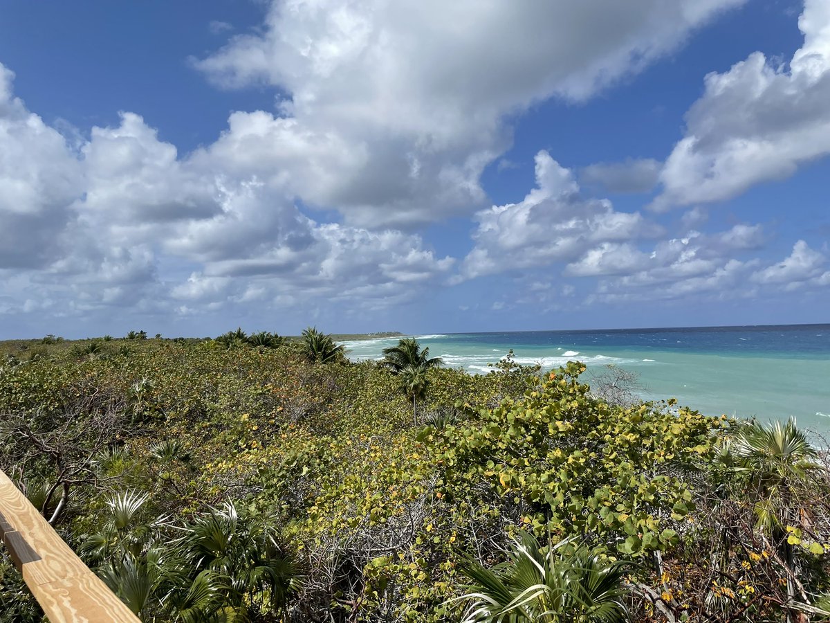 Martyn Roper tweet media