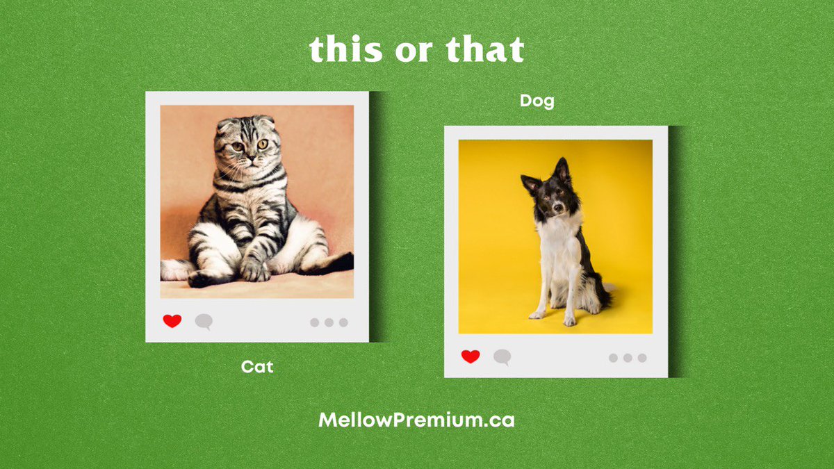 MELLOW PREMIUM LLC (@MellowLlc) / Posts / X