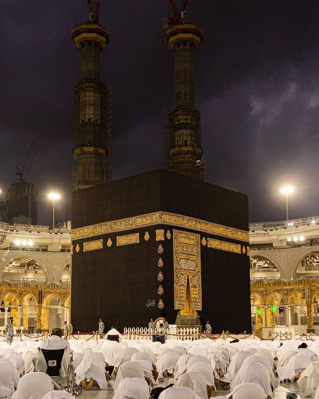 قمة الاحتياج الحقيقي 🤍