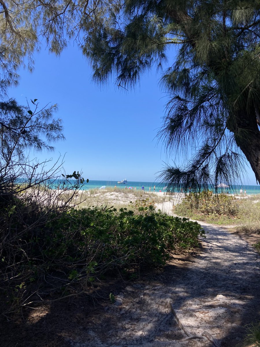 Island Unique tweet media