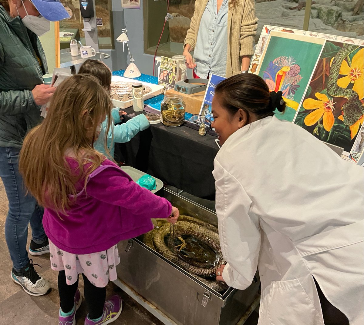 KU Natural History Museum (@kunhm) on Twitter photo We have great KU women scientists & incredible activities scheduled for our free, all-ages Celebrating Women in Science event on Sat., March 25! KUNHM researchers, <a href="/KU_EEB/">KU Ecology & Evolutionary Biology</a>, <a href="/kuengineering/">KU Engineering</a>, @ksgeology, <a href="/KUGeog_Atmo/">KU Geography & ATMO πͺοΈ</a>, <a href="/KUPhysicsAstro/">πͺ»KU Physics and Astronomy π·</a> & more!
π¦INFO β¬οΈ
facebook.com/events/7471999β¦ We have great KU women scientists & incredible activities scheduled for our free, all-ages Celebrating Women in Science event on Sat., March 25! KUNHM researchers, <a href="/KU_EEB/">KU Ecology & Evolutionary Biology</a>, <a href="/kuengineering/">KU Engineering</a>, @ksgeology, <a href="/KUGeog_Atmo/">KU Geography & ATMO πͺοΈ</a>, <a href="/KUPhysicsAstro/">πͺ»KU Physics and Astronomy π·</a> & more!
π¦INFO β¬οΈ
facebook.com/events/7471999β¦