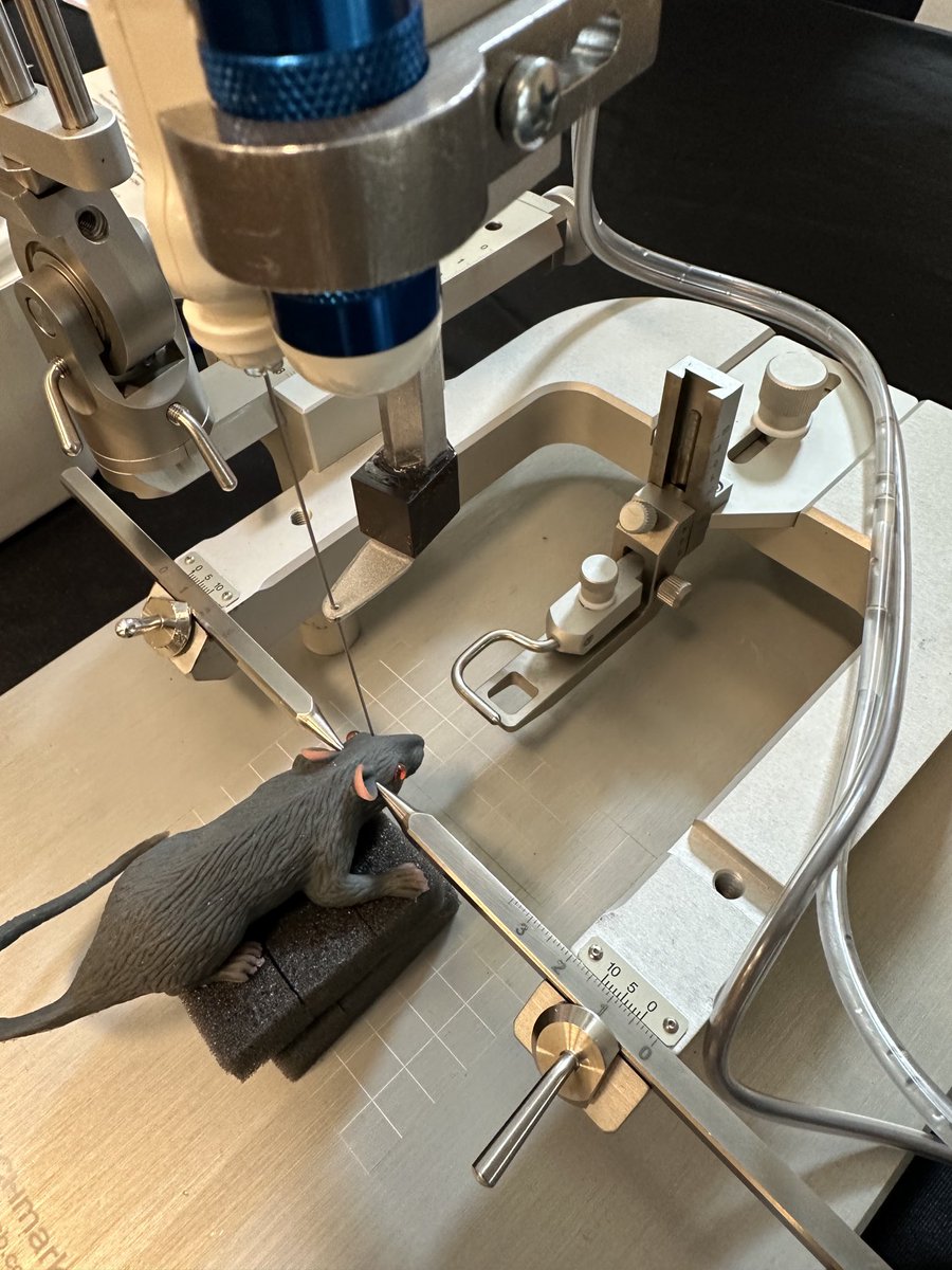 ARODMDPHD's tweet image. Great way to spend #braintumorthursday …the ⁦@GbmSummit⁩
I gave a talk about ⁦@NICONeuroCorp⁩ myriad system. There’s a new miniature version of what we use in humans modified for mouse PDX with stereotaxis!!