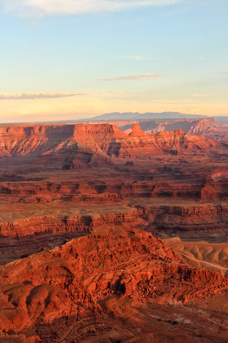 Today wraps up the Northern Colorado Plateau  Network (branch of the NPS) conference in Moab. It was a wonderful time meeting people and presenting the unique plant, fruit fly, parasitoid interaction unfolding in Capitol Reef NP.