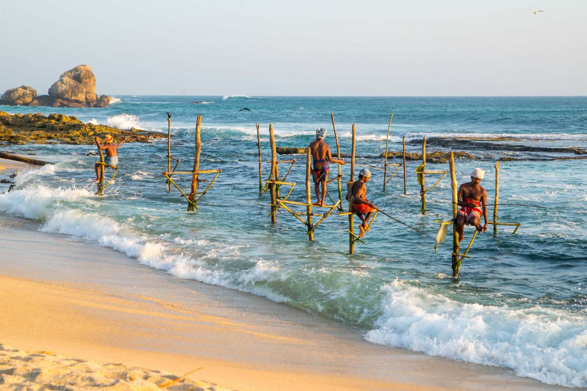 classytours's tweet image. Book your trip to Sri Lanka with Classy Tours and experience the beauty, culture, and hospitality of this amazing country. Visit srilankaclassytours.com to learn more and start planning your dream vacation today.
#SriLanka #LankaClassyTours #BespokeTravel #LuxuryTours #Cultural