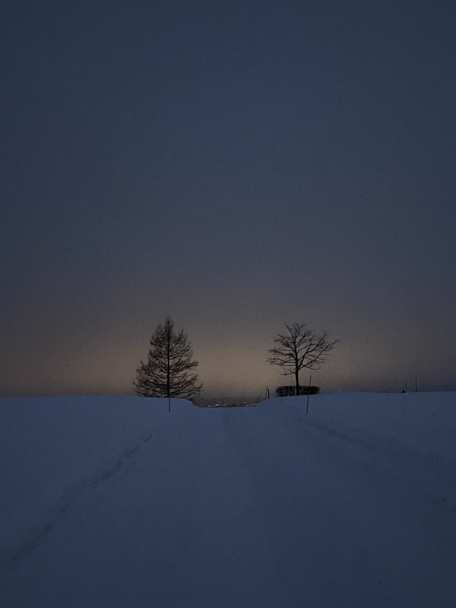 Langs vægen