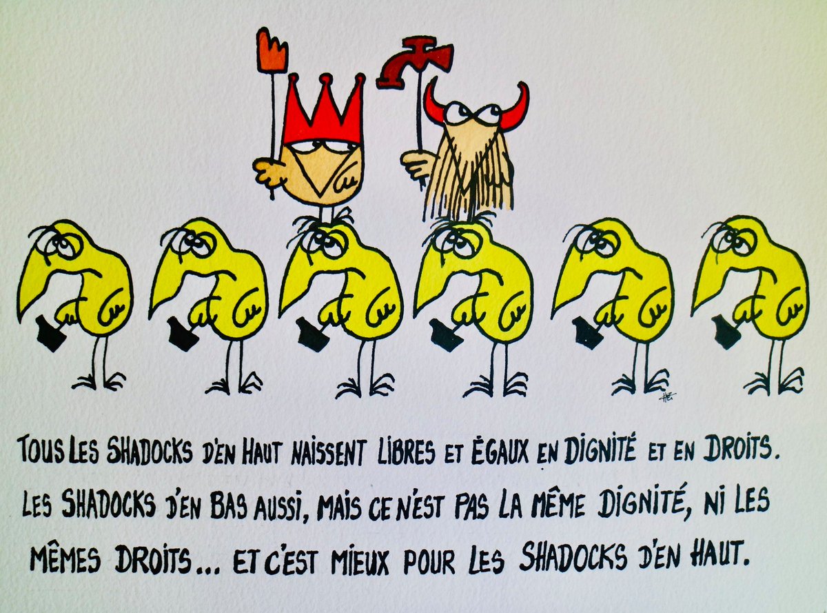 TordueGniale's tweet image. En fait depuis le début, on est gouvernés par des Shadocks.