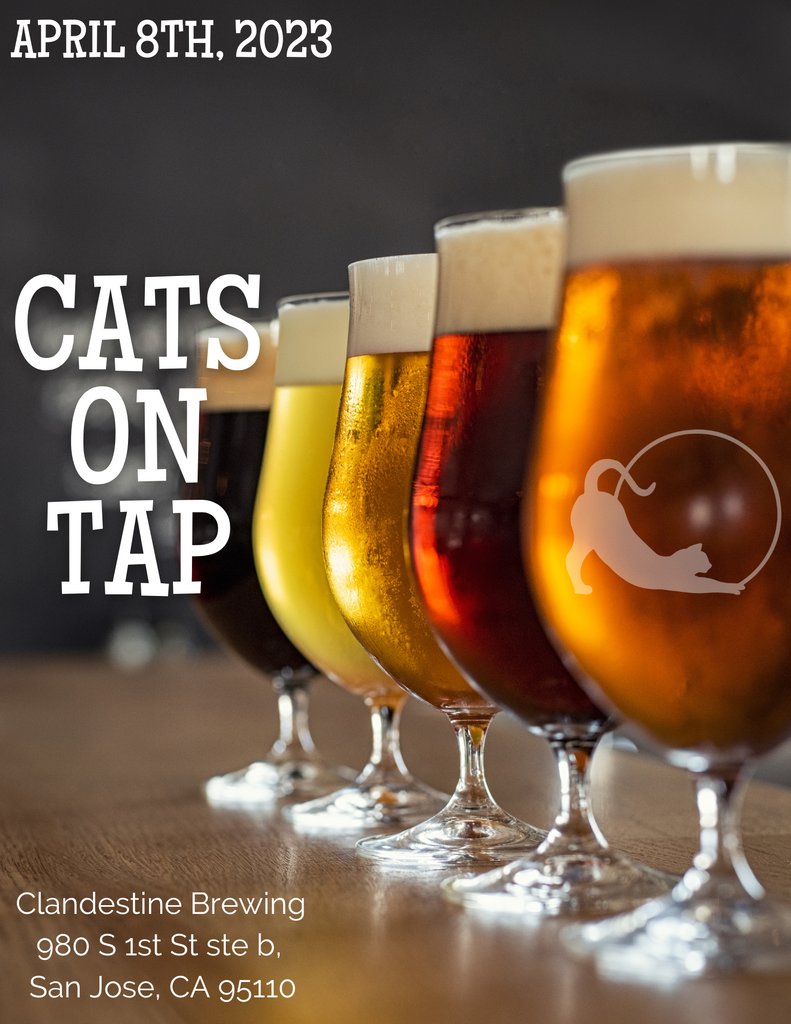 Join us at Clandestine brewing on 1st street in San Jose on April 8th, and try out our signature TC beer on tap! Hang out with us from 12-5:00 pm. One last thing! A portion of the proceeds from this event will go to our shelter. 😻

#towncats#clandestinebrewing #donate