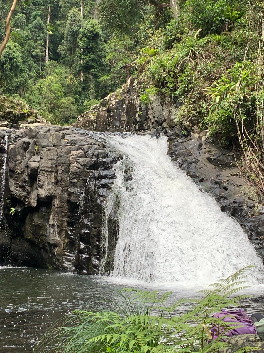 Stairway Falls was in fine flow at a visit by some of our Platinum Boot walkers.
Photo by Libby Andersen.

#bushwalking #hiking #camping #lamingtonnationalpark #queensland #australia #waterfall