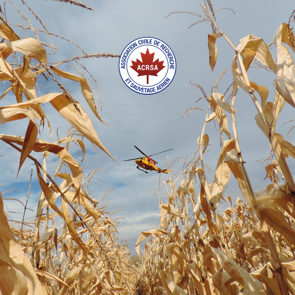 ACRSA_National's tweet photo. Ce jeudi, nous vous proposons une #PhotoSouvenir d’un CH-146 Griffon de l’ARC prise l’automne dernier 🚁 🍂
#ACRSA https://t.co/I20XErRJZa