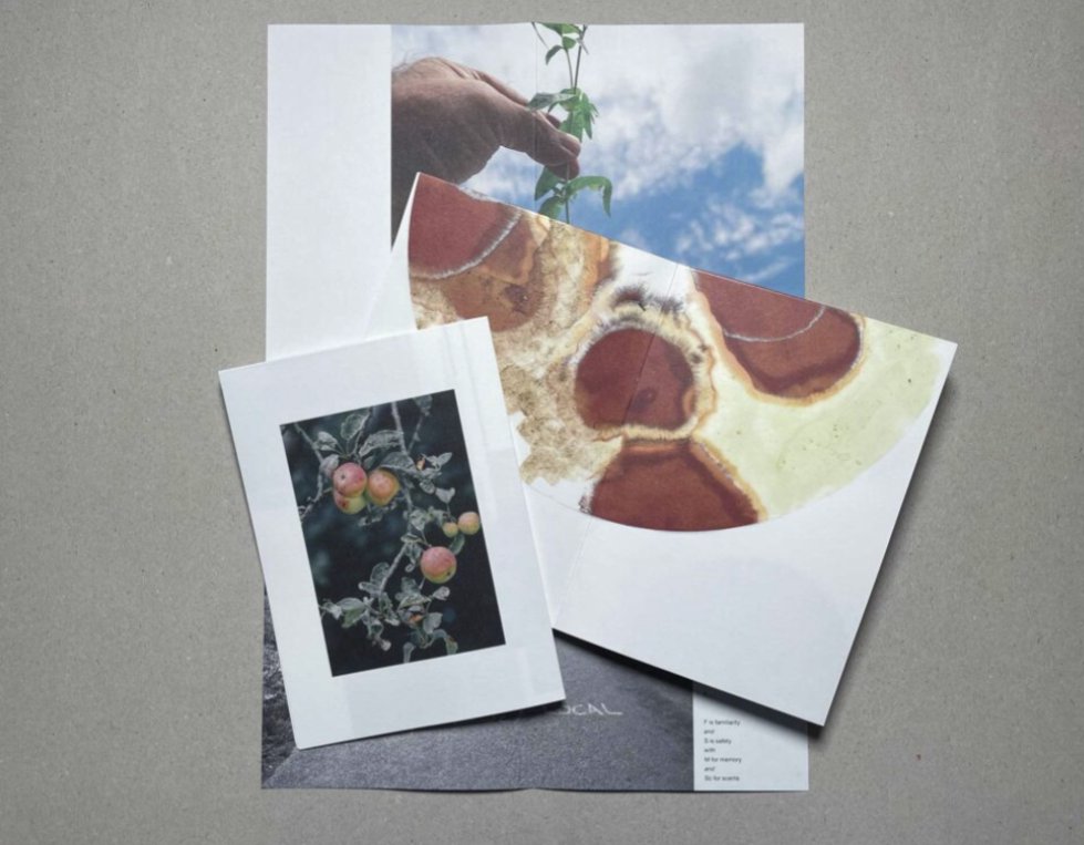 Elizabeth Ransom tweet media