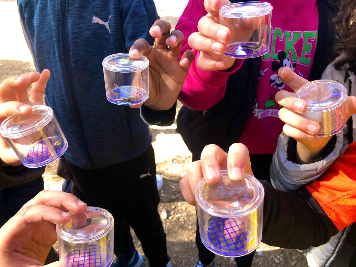Clg_Ferry13_EDD's tweet photo. Aujourd’hui c’était au tour de nos élèves de 6emeB de partir à la découverte de la #biodiversité du @ParcCalanques #journéenature #ODD15 #ODD4 https://t.co/MSwL0ZHIVi