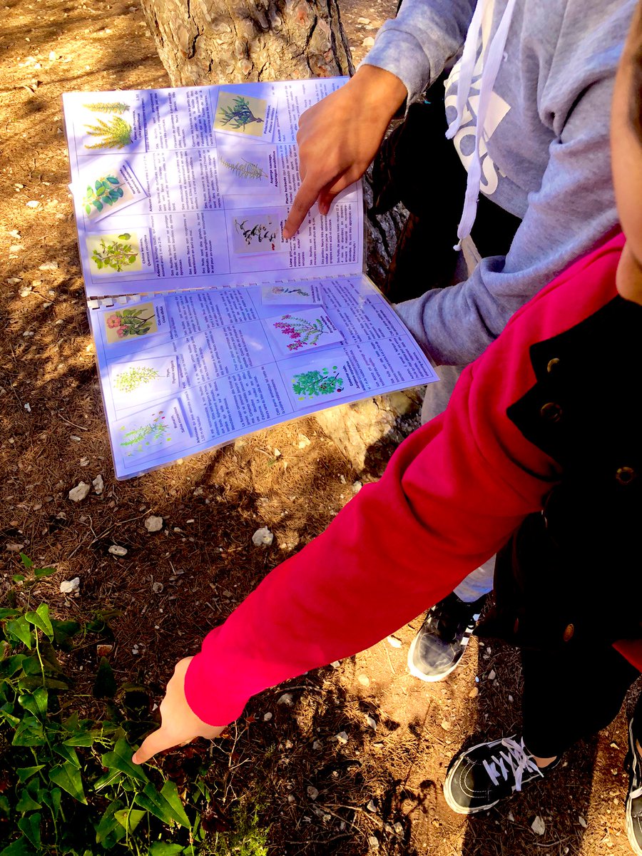 Clg_Ferry13_EDD's tweet photo. Aujourd’hui c’était au tour de nos élèves de 6emeB de partir à la découverte de la #biodiversité du @ParcCalanques #journéenature #ODD15 #ODD4 https://t.co/MSwL0ZHIVi