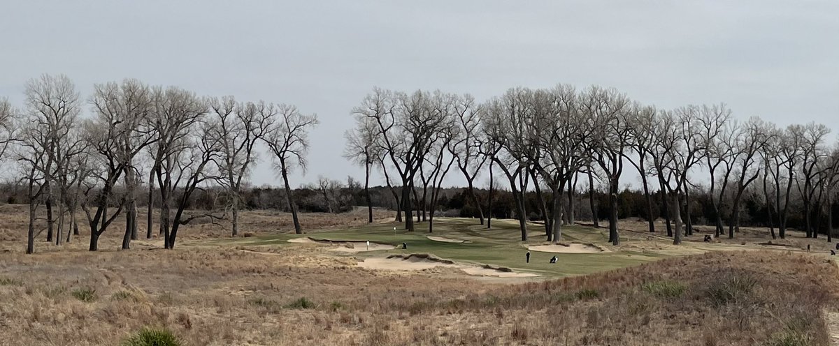 Cory Griess tweet media