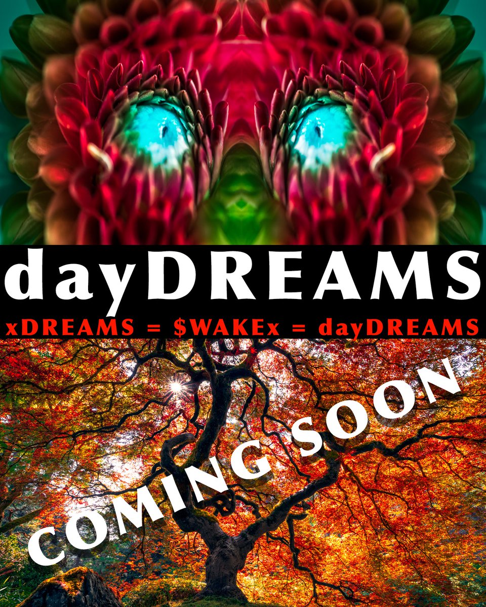 xDREAMS_NFT's tweet photo. Wake from your Dreams and Embrace the Day … 🎨🏔️dayDREAMS🏔️🎨

@dayDREAMS_XRPL

A NFT collection of Majestic Landscapes, Thought Provoking Abstract, Mesmerizing Cityscape &amp; MUCH MORE

HOW TO MINT
Redeem your $WAKEx 🤯

COMING SOON

#art #nftart #XRPLCommunity https://t.co/BrbsgoVoPy