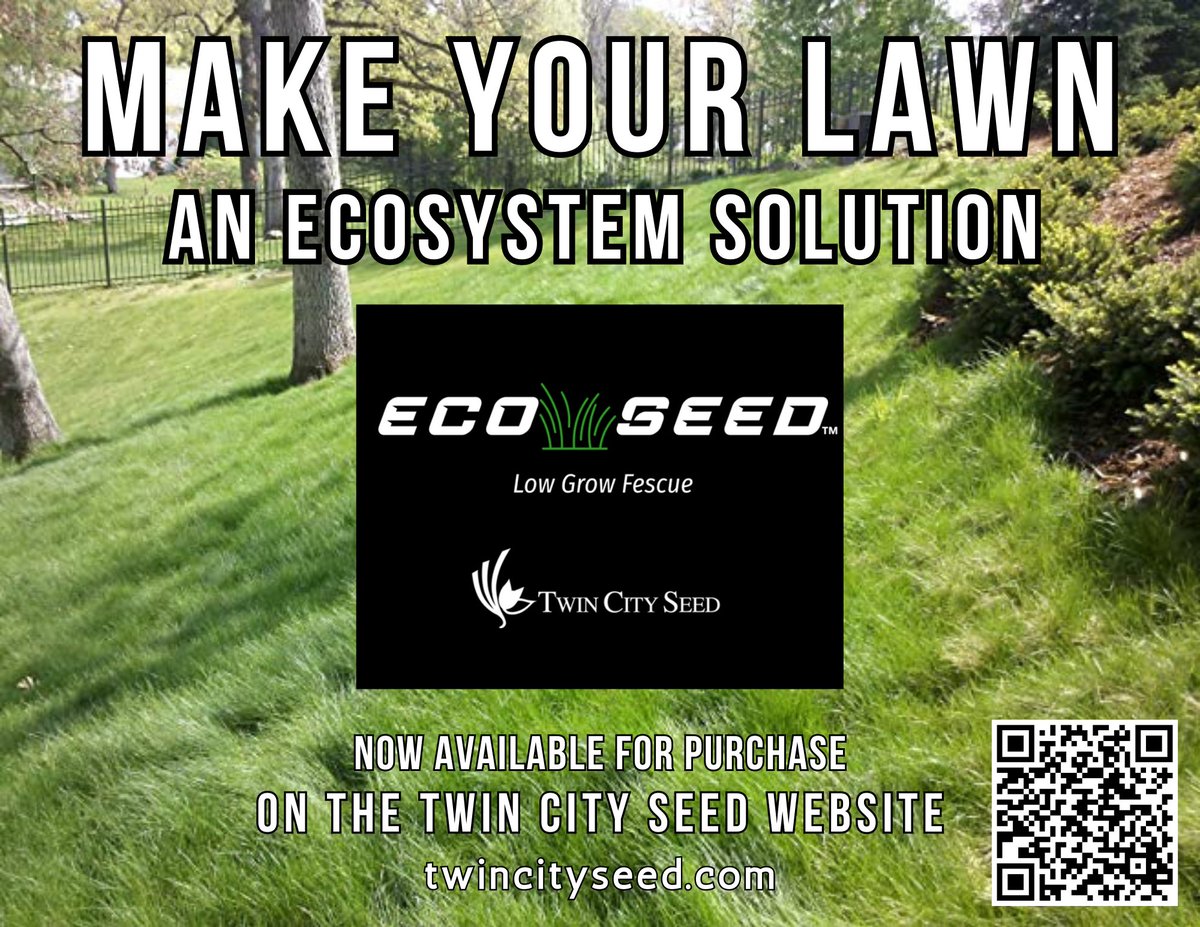 twincityseed's tweet photo. Looking for a lawn option that is low maintenance and conservation-friendly? Check out our Eco-Seed fine fescue blend. Less mowing, less watering, less fertilizer, premium aesthetics. Check it out on our website! #lawncare #conservation #SeedTheDifference https://t.co/581G2LIkk2