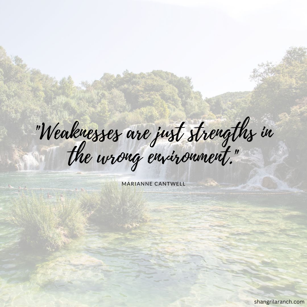 SLRNude's tweet photo. "Never be afraid of your weaknesses, they can actually be your greatest strengths in the right setting! Embrace what makes you unique and rise to any challenge!" #YouGottThis #UniquelyCapable https://t.co/AYHKBcO0wD https://t.co/g35JWtXh6d