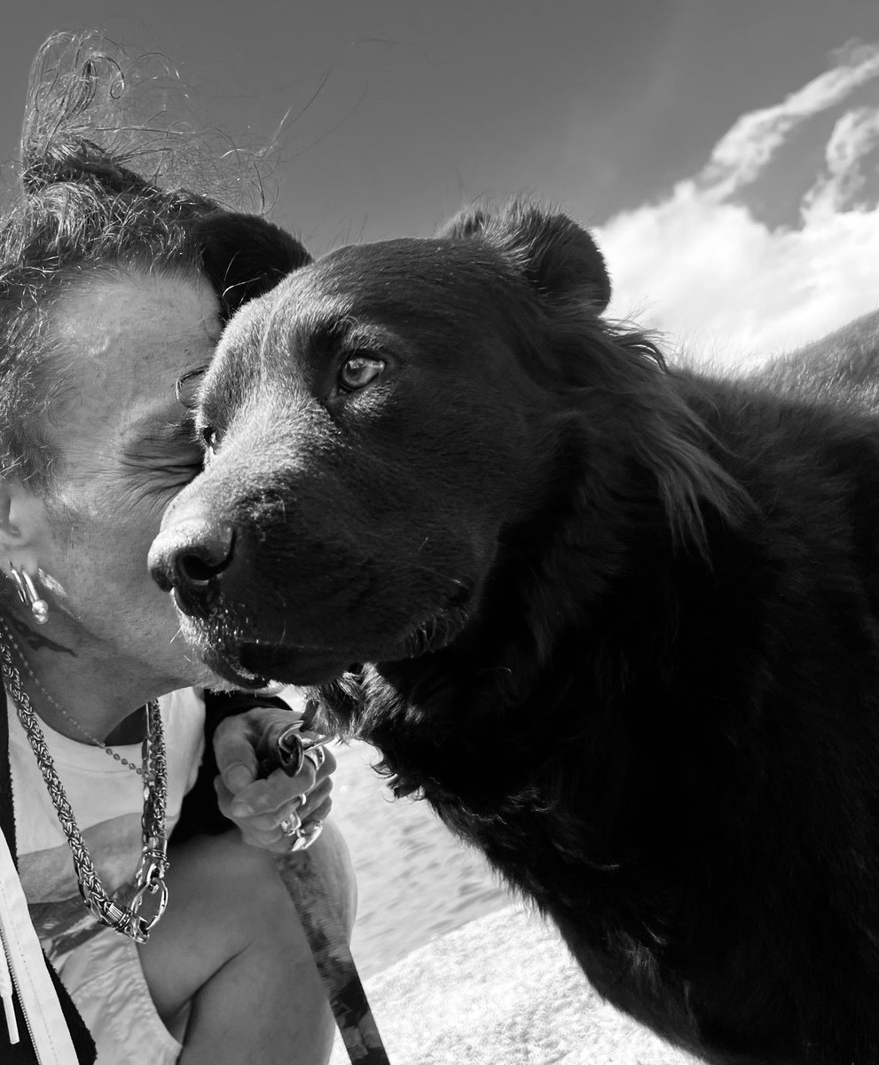 StephenEPearcy's tweet photo. The one they call BEAR. #myson #bearthedog #protecto #friends β οΈπβπ¦Ίβ οΈπ΄ββ οΈ https://t.co/jLafRKbx2X