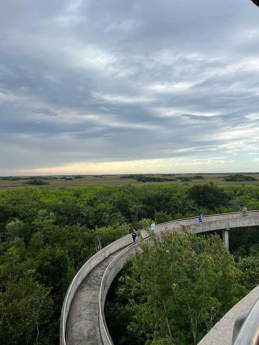 Alumnos_CAV's tweet photo. 🇺🇸Los alumnos del Grado de #ComunicaciónAudiovisual y #NuevosMedios están en Miami. 

Hoy reciben formación en la @FIU en su Study Abroad a Miami. Además, han visitado la @bbcmundo y los Everglades. https://t.co/3x2hsXERNR