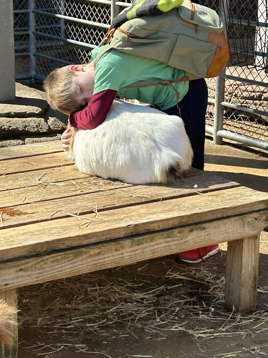 Mrs. Reiner tweet media