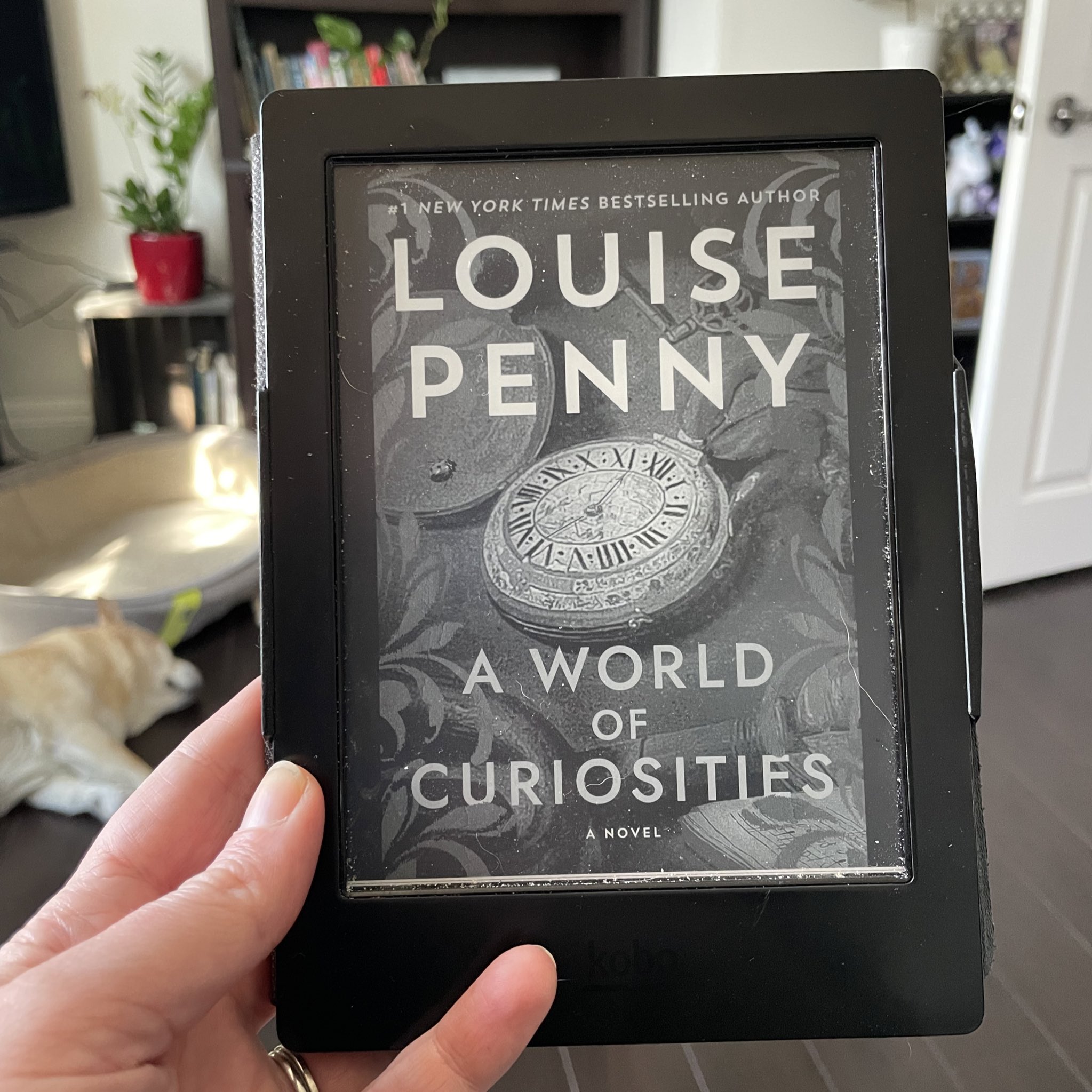Amy Jones on X: Book 9 of 2023: A World of Curiosities by Louise Penny  This wasn't my favourite of her books but during the climax I had dreams  about being chased