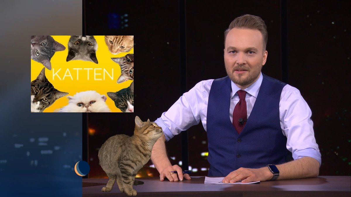 deavondshowvpro's tweet image. Het zijn snoezige, aaibare pluizenbolletjes, en ze vermoorden jaarlijks miljoenen vogels. Het moet afgelopen zijn met: katten. Kijk De #Avondshow op YouTube: youtu.be/et8q_YkR70o